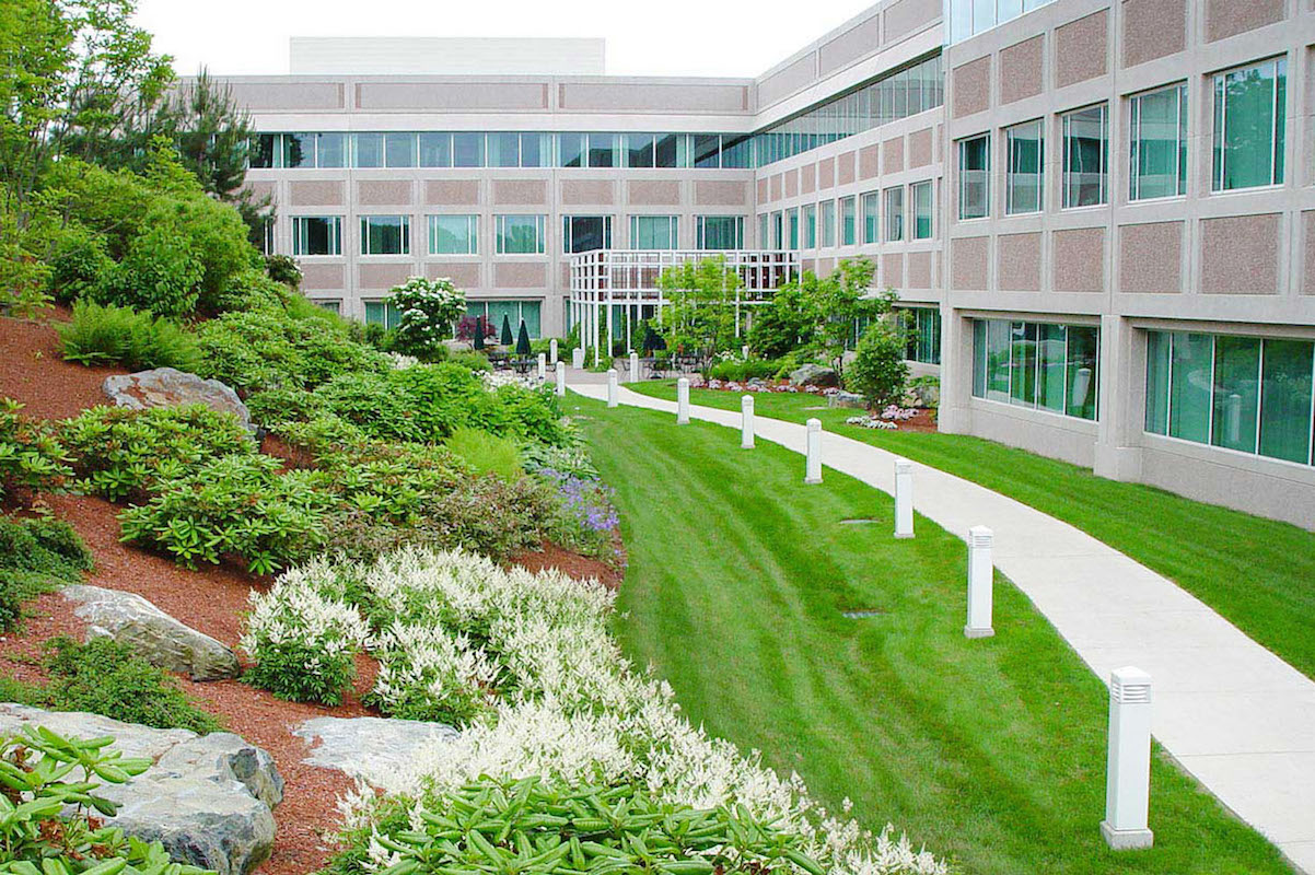 Read more about the article <strong>5 Landscaping Tips for Commercial Properties</strong>